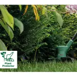 Тример за трева батериски EASYGRASSCUT 18-26 - Bosch - слика 7 - Centimetar